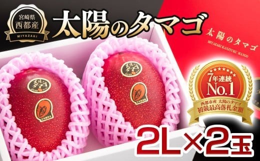 糖度15度以上 最高級ブランド『太陽のタマゴ』2Lサイズ2個入り