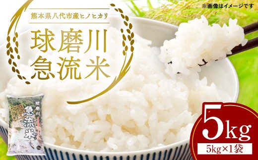熊本県八代市産 球磨川急流米 ヒノヒカリ 5㎏×1 計5kg