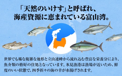 富山県氷見市のふるさと納税 【偶数月 全3回 定期便】 魚問屋直送！氷見漁港で競り落としたお刺身詰め合わせセット 〈冷凍〉　