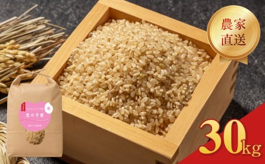 令和7年度米  恋の予感 玄米 30kg 