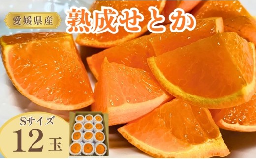せとか 約1.4kg 12玉 みかんのおと みかん 愛媛 先行予約 【2026年4月以降発送】 数量限定 愛媛県産 人気 柑橘 伊予市｜B322