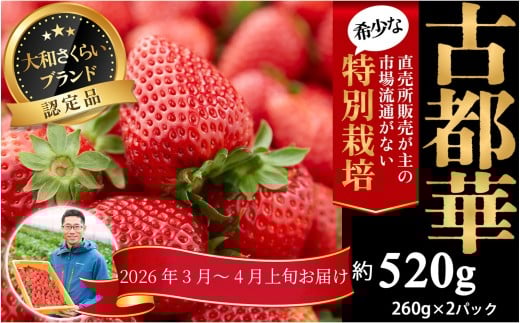M-AI31.【3月～4月上旬発送】減農薬いちご「古都華」2パック 特別栽培農産物 758957 - 奈良県桜井市
