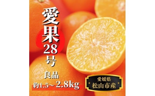【早期予約受付中！2025年12月～順次発送】【愛果28号】 (良品) 約1.5kg / 約2.8kg | 愛媛県産 みかん 蜜柑 オレンジ 柑橘 果物 フルーツ お取り寄せ おすすめ 愛媛県 松山市