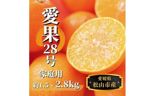 【先行予約】 【12月から順次発送】 家庭用 愛果28号 約1.5kg / 約2.8kg（ご家庭用）| 紅まどんな と同一品種 みかん ミカン  蜜柑 果物 くだもの フルーツ 紅マドンナ 高級 贈答 ギフト 贈り物 柑橘 柑橘類 かんきつ 愛媛果試第28号 常温 国産 愛媛 愛媛県 松山市