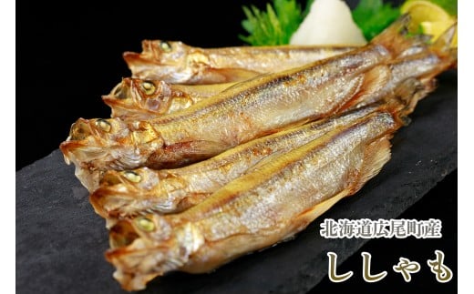 岡嶋水産　生乾しししゃも大オス30尾(C0039)