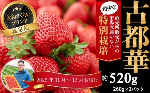 M-BD12.【2025年11月~12月発送】減農薬いちご「古都華」2パック 特別栽培農産物 997181 - 奈良県桜井市