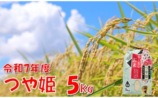 【令和７年産米 新米】つや姫5kg　高橋　
