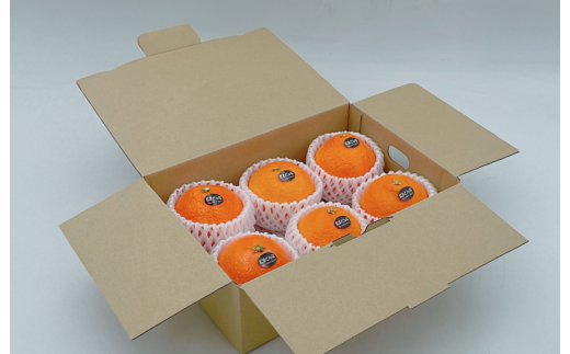 紅まどんな 5~6個 2L~3Lサイズ  [K002930]