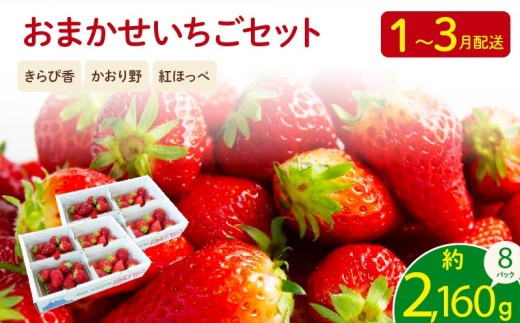 【先行予約 2026年01月より順次発送】 いちご  2kg 以上 おまかせ 苺 旬 産地 直送 フレッシュ イチゴ 紅ほっぺ  きらぴ香 かおり野 フルーツ 果物 国産 ジャパン ベリー オンライン決済限定 静岡県 藤枝市