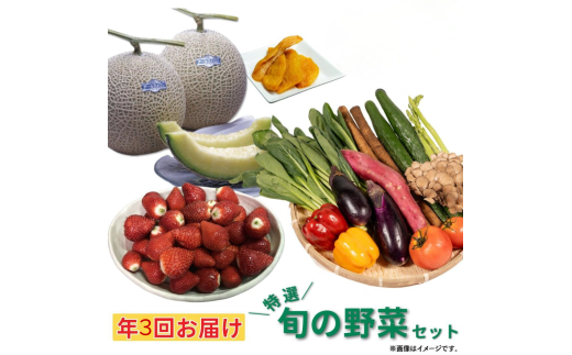 年3回お届け 特選旬の野菜セット