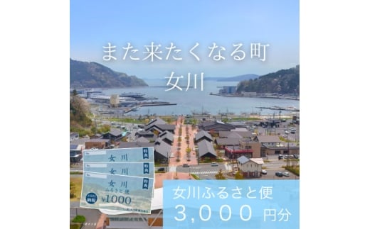 「女川ふるさと便」1000円分×3枚【1674172】