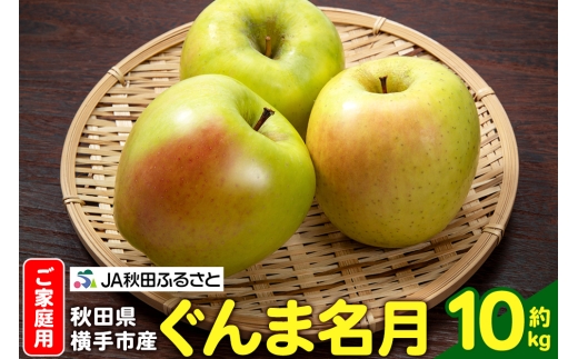 【11月上旬より発送】りんご ぐんま名月 家庭用 約10kg(32~40玉) 2333944 - 秋田県横手市