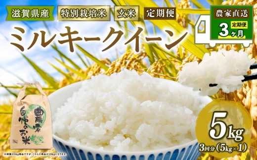 新米 特別栽培米 ミルキークイーン 米 5kg 玄米 定期便 3ヶ月 みるきーくいーん 定期 3か月 2025年産 滋賀県 竜王町 令和7年産 国産 農家直送 5kg × 3回 計 15kg 国産 農家直送 環境こだわり お試し用 お米 こめ おこめ 農家直送 産地直送 送料無料 
