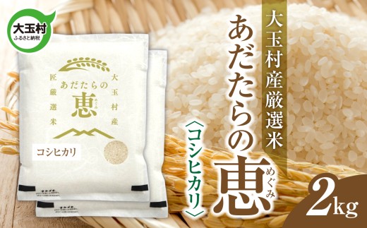 米 大玉村産厳選米「あだたらの恵」（品種：コシヒカリ） 2kg 《 令和7年産  》｜ 福島 大玉村 お米 米作り こしひかり 令和7年 精米 白米 こめ コメ ご飯 送料無料 大玉村農業振興公社 ｜ on-ak-2kg-r7