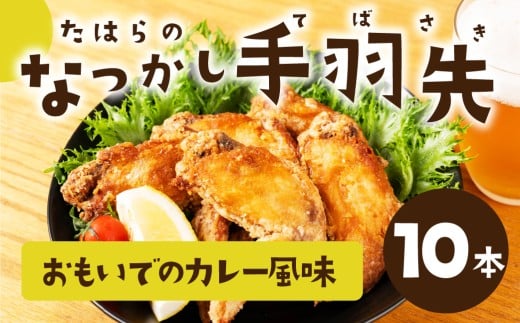 たはらのなつかし手羽先 カレー風味 10本 手羽先 カレー 味 手羽 おかず ご飯 のお供 おやつ おつまみ 揚げ物 グリル スパイス 田原市 渥美半島 松井産業