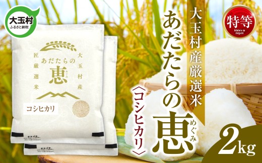 米 大玉村産厳選米「あだたらの恵」特等（品種：コシヒカリ） 2kg 《 令和7年産  》｜ 福島 大玉村 お米 米作り こしひかり 令和7年 精米 白米 こめ コメ ご飯 送料無料 大玉村農業振興公社 ｜ on-akt-2kg-r7