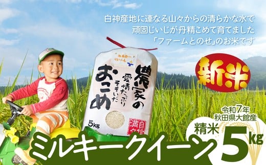 新米【令和7年産】ファームとのせ「ミルキークイーン精米5kg(5kg×1袋)」　85P9002  / 米 無洗米 5kg 白米 令和7年産 秋田県産 ミルキークイーン  みるきーくいーん おにぎり 大館 東北 秋田 小分け こわけ 大館市 5キロ 5ｷﾛ 5きろ 2333792 - 秋田県大館市