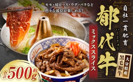 自社一貫肥育・郁代牛のミックススライス（大分県産黒毛和牛） 約500g モモ バラ ウデ 肩ロース 肉 お肉 