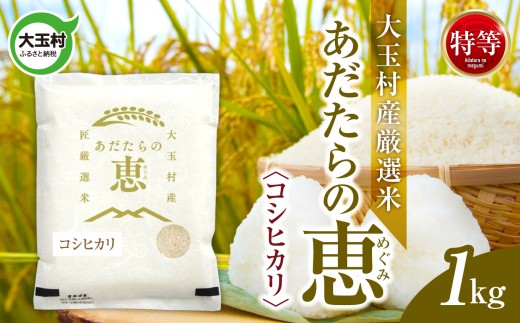 米 大玉村産厳選米「あだたらの恵」特等（品種：コシヒカリ） 1kg 《 令和7年産  》｜ 福島 大玉村 お米 米作り こしひかり 令和7年 精米 白米 こめ コメ ご飯 送料無料 大玉村農業振興公社 ｜ on-akt-1kg-r7