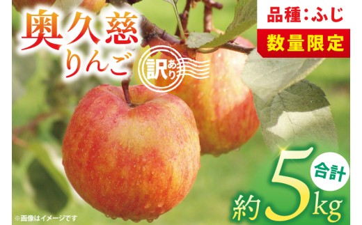 【訳あり】【11月より順次発送予定】三村観光りんご園の奥久慈りんご「ふじ」約5kg｜不揃い 規格外 傷あり 色むら 家庭用 茨城県 大子町 林檎 旬 果物 フルーツ 果実 フルーツ 甘い ジューシー みずみずしい(BX012)