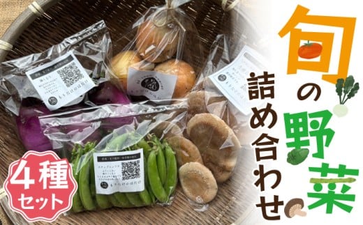 旬の野菜詰め合わせ 3〜4種セット Ｍ818 守田農園 季節 野菜 果物 詰め合わせ 九州 福岡 宮若市 ふるさと納税 おすすめ