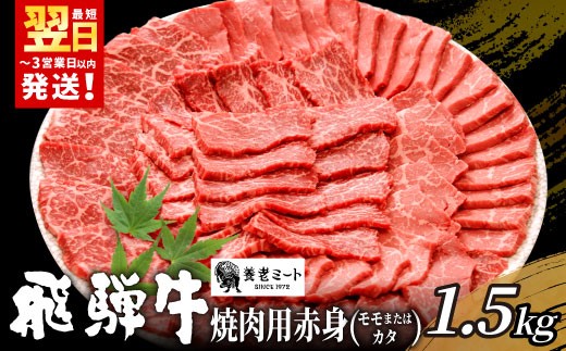【12月発送】 贅沢！ 飛騨牛 モモまたはカタ 焼肉用 1.5kg 6～10人前 牛肉 和牛 肉 焼肉 BBQ 霜降り カルビ 赤身 モモ カタ 東白川村 岐阜 養老ミート