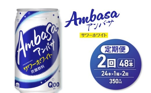 【２ヶ月定期便】アンバサ サワーホワイト 350ml缶×24本 2335458 - 北海道札幌市
