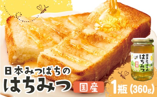日本みつばちのはちみつ 1瓶360g 　正木ぶどう園《2025年9月上旬‐2026年2月下旬頃出荷》徳島県 美馬市 はちみつ 国産 蜂蜜 ハチミツ 送料無料