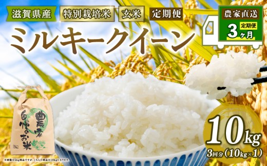 新米 特別栽培米 ミルキークイーン 米 10kg 玄米 定期便 3ヶ月 みるきーくいーん 定期 3か月 2025年産 滋賀県 竜王町 令和7年産 国産 農家直送 10kg × 3回 計 30kg 国産 農家直送 環境こだわり お試し用 お米 こめ おこめ 農家直送 産地直送 送料無料 