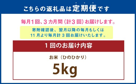 【年3回連続定期便】 【令和7年度産】 熊本県(七城)産のお米 計15kg(5kg×3回)