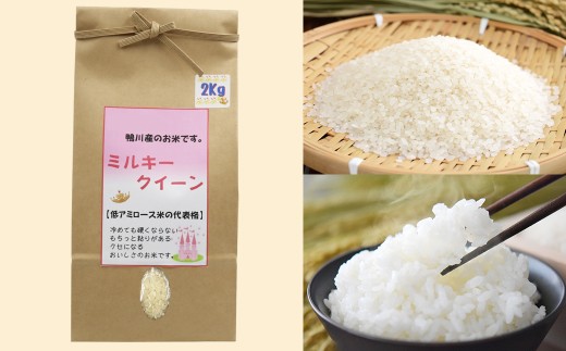 もちもちふっくらとした炊き上がり。冷めてもおいしい「ミルキークイーン」