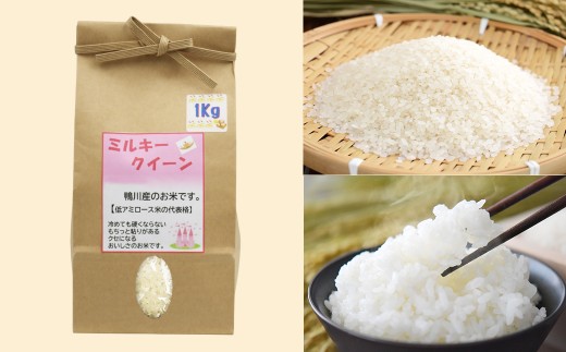 もちもちふっくらとした炊き上がり。冷めてもおいしい「ミルキークイーン」