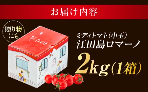 野菜 やさい トマト とまと フルーツ フルーツトマト ミニトマト プチトマト