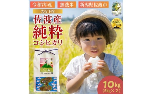 【新潟県佐渡】佐渡産の純粋コシヒカリ10kg＜数量限定＞ 令和７年産 精米【無洗米】5kg×2袋 　 2337214 - 新潟県佐渡市