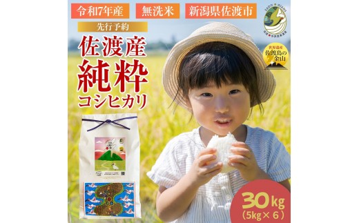 【新潟県佐渡】佐渡産の純粋コシヒカリ30kg＜数量限定＞ 令和７年産 精米【無洗米】5kg×6袋 2337219 - 新潟県佐渡市