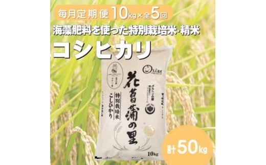 ＜毎月定期便＞特別栽培米コシヒカリ(花菖蒲の里)(精米)10kg全5回【4075016】