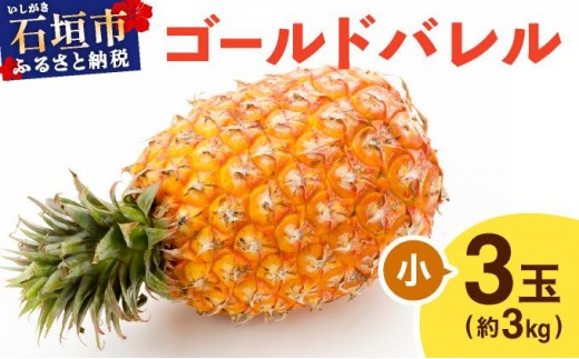 ≪5月上旬順次発送≫ゴールドバレル 小 3玉（約3kg） TP-15 2330122 - 沖縄県石垣市