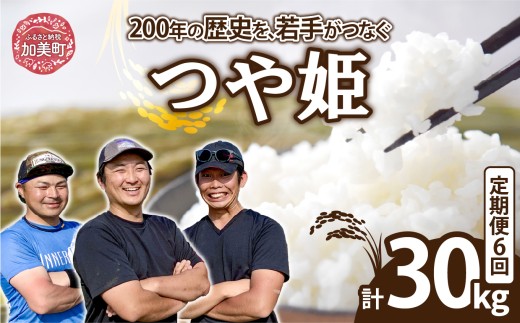 【5kg×6回 計30kg】 米 宮城県産 つや姫　定期便 《 令和7年産 新米 》 ブランド米 白米 精米 ご飯 ごはん コメ こめ お米 小分け 家庭用 結心ファーム [ 宮城県 加美町 ]  | yu-th05-t6-r7
