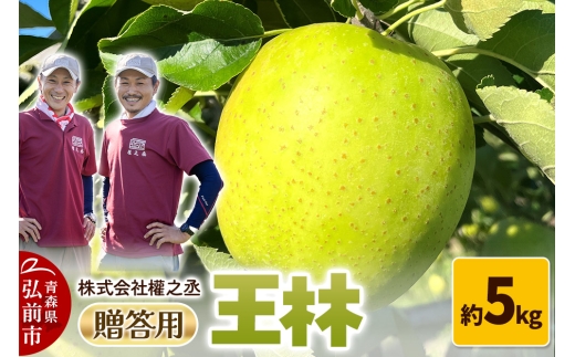 【25年11月出荷】りんご 權之丞 王林 贈答用 約5kg【弘前市産・青森りんご】