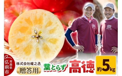 【25年11月出荷】りんご 權之丞 葉とらずりんご 高徳 贈答用 約5kg【弘前市産・青森りんご】