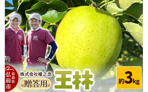 【25年11月出荷】りんご 權之丞 王林 贈答用 約3kg【弘前市産・青森りんご】