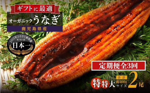 【定期便】泰正オーガニックうなぎ蒲焼 特特大2尾合計400g以上(全3回)合計6尾 2335572 - 鹿児島県大崎町