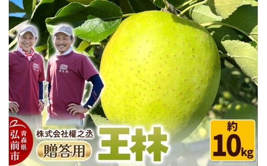 【25年11月出荷】りんご 權之丞 王林 贈答用 約10kg【弘前市産・青森りんご】