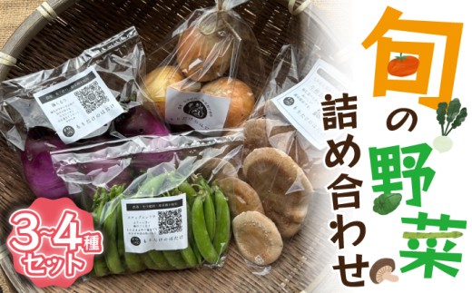 旬の野菜詰め合わせ 3〜4種セット Ｍ818 守田農園 季節 野菜 果物 詰め合わせ 九州 福岡 宮若市 ふるさと納税 おすすめ