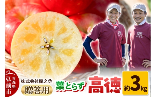 【25年11月出荷】りんご 權之丞 葉とらずりんご 高徳 贈答用 約3kg【弘前市産・青森りんご】