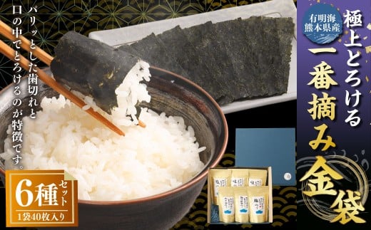 有明海熊本産極上とろける一番摘み焼きのり金袋シリーズ6種セット
