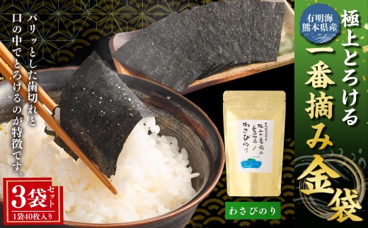 有明海熊本産極上とろける一番摘みわさびのり金袋