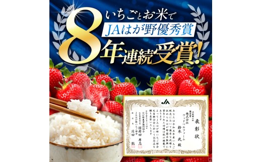 栃木県真岡市のふるさと納税 【2026年先行予約】【定期便3回】朝採れいちご とちあいか (1月1000g,2月1000g,3月1400g）完熟 いちご 苺 ストロベリー 人気 名産地 数量限定 数量限定 産地直送 とちあいか 朝採れ 果物 いちご 苺 新鮮 日本一 高級 いちご 甘い 酸味 スイーツ 大容量 贈り物 おすすめ いちご 定期便 いちご  真岡市 栃木県 送料無料