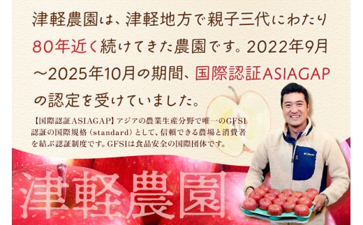 青森県弘前市のふるさと納税 【26年1月発送】りんご 【糖度13度以上】サンふじ【家庭用】約5kg  13～20玉程度 津軽農園
