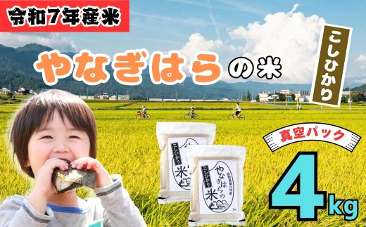 ＜令和7年産 新米＞特別栽培米  「やなぎはらの米 こしひかり」4㎏（真空包装） (7-67) お米 コメ 白米 ご飯 長野県 信州 飯山市 新米 令和7年 コシヒカリ 産地直送 農家直送 2292876 - 長野県飯山市